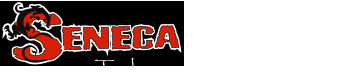 aekwondo & Martial Arts T
