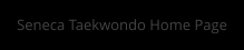 Seneca Taekwondo Home Page