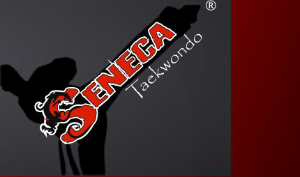 aekwondo T ®